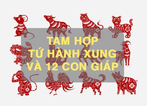 thuê xe quy nhơn